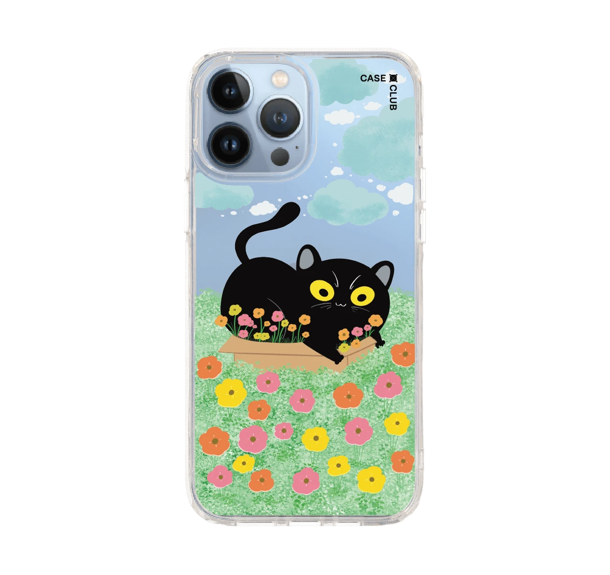 สวนดอกไม้ของแมวดำ